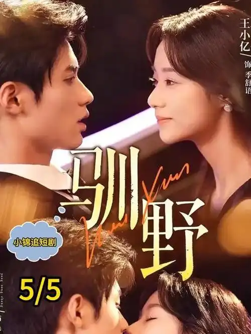 剧集《十三号档案》海报 悬疑剧推荐